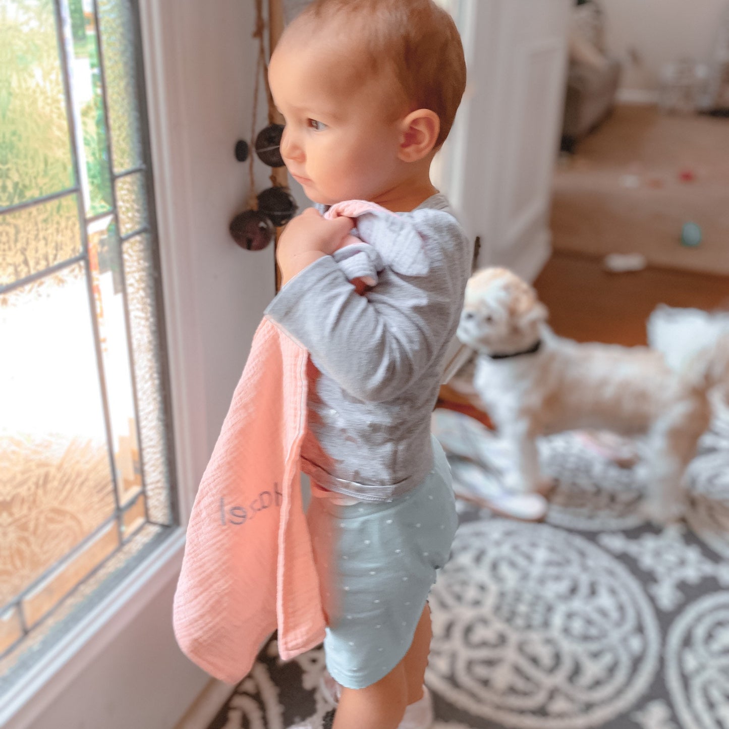 Philadelphia Eagles Baby Lovey